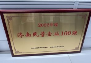 2022年度濟南民營企業100強